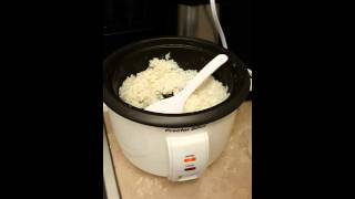 Proctor Silex 8 Cup Rice Cooker Review [upl. by Normy99]