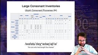 Introduction to Linguistics Phonology 4 [upl. by Naened189]