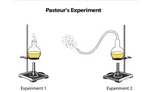 Pasteurs Experiment [upl. by Cirdla]