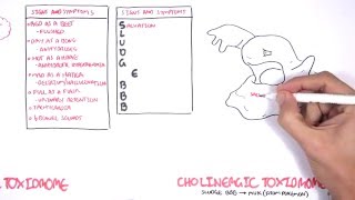 Cholinergic and Anticholinergic Toxicity Toxidrome [upl. by Htabmas400]