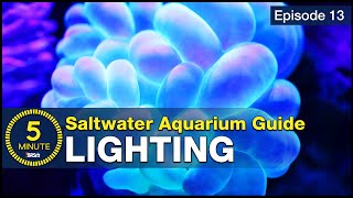 See how easy reef lighting a saltwater aquarium can be Selecting the right reef LED solution [upl. by Vincenz]