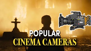 The Most Popular Cinema Cameras Part 2 Arri Red Panavision Sony [upl. by Nowd]