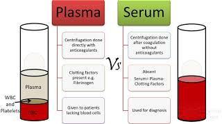 Plasma Vs serum Vs antiserum [upl. by Hyde49]