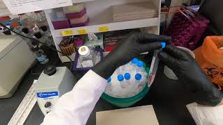 Cell Cycle Analysis by Flow Cytometry [upl. by Leruj]