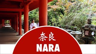 Discover Nara City  Japan Experience [upl. by Gennifer]