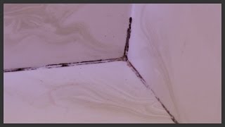 Remove amp replace moldy shower caulk [upl. by Jadda]