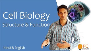 Cell Biology  Human Cell Structure and Functions [upl. by Laurin]