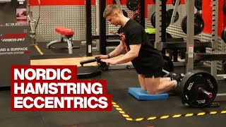 Nordic Hamstring Eccentrics [upl. by Aneekal142]