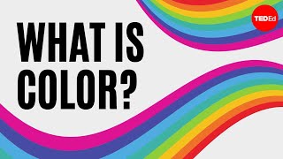 What is color  Colm Kelleher [upl. by Mellie]