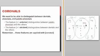 Phonological Features [upl. by Oetam]