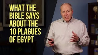 What the Bible Says About the 10 Plagues of Egypt [upl. by Acined]