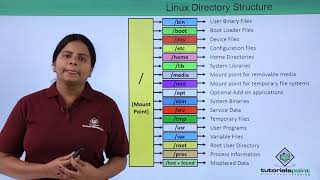 Linux Directory Structure [upl. by Wilde]