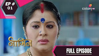 Naagin  Season 1  नागिन  Episode 1 [upl. by Arihk508]