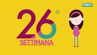 26° settimana di gravidanza [upl. by Correy]