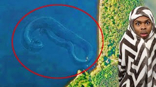 Weird Things Spotted and Caught On Google Maps [upl. by Saudra]