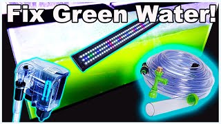 How to Fix Green Water in Your Fish Tank [upl. by Sinnaiy]