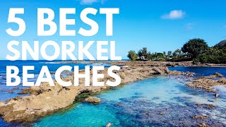 Where to Snorkel on Oahu Hawaii  5 Best Snorkel Spots on Oahu [upl. by Lonier506]