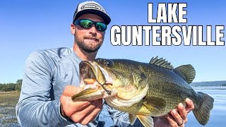 Lake Guntersville Fishing Report November [upl. by Iznil]