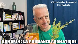 Romarin Rosmarinus officinalis  la puissance aromatique [upl. by Akimet866]