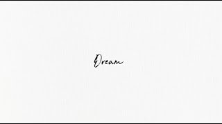 Shawn Mendes  Dream Lyric Video [upl. by Onra]