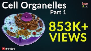 Cell Organelles  Part 1  Animation Video  Iken Edu [upl. by Alyel616]