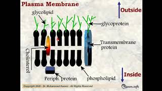 Cytology Lecture 1 for medical students [upl. by Terrance833]