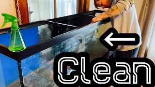 Clean Old Aquarium Glass  Mineral Buildup amp Stains [upl. by Alon]