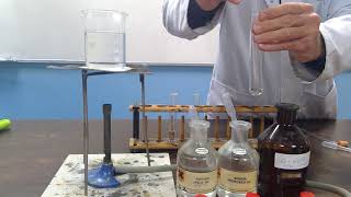 Demonstration of Tollens Reagent [upl. by Norab]