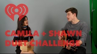 Shawn Mendes amp Camila Cabello Duet  Mashup Songs  Artist Challenge [upl. by Anal799]