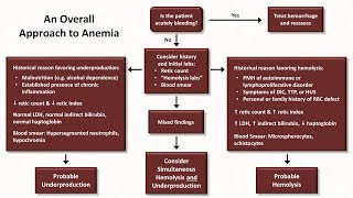 Anemia Lesson 5  An Approach to Diagnosis [upl. by Muncey361]