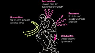 Heat Transfer Mechanisms  Evaporation  Convection Conduction  Radiation [upl. by Anitsirk821]