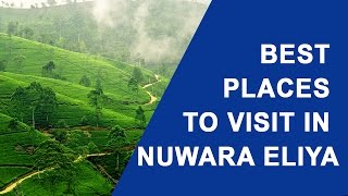 Best Places to Visit in Nuwara Eliya Sri Lanka [upl. by Latterll592]