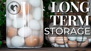 How to Water Glass Eggs For LongTerm Storage [upl. by Boggers]