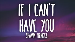 Shawn Mendes  If I Cant Have You Lyrics [upl. by Mossolb]