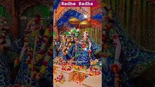 Radhe Krishna 🙏shorts shortvideo youtubeshorts [upl. by Olegnaid317]