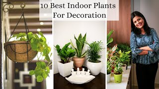 10 Best Indoor Plants For Decoration  Low Maintenance Air purifying Houseplants [upl. by Rihaz686]