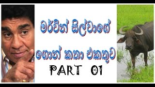 Mervyn Silvas foolish speechesගොන් කතා Part 01YouTube [upl. by Id]