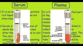 Serum vs Plasma Quick Differences and Comparisons [upl. by Anatak351]