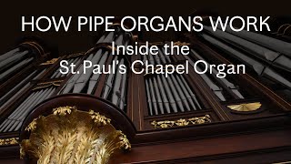 How Pipe Organs Work Inside the St Paul’s Chapel Organ [upl. by Ybor619]