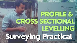 Profile and cross sectional Levelling  Surveying Practical [upl. by Lemay]