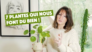 7 plantes bienêtre amp dépolluantes [upl. by Zigrang]