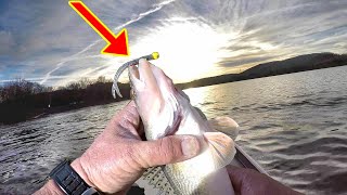 Sauger Fishing Secrets [upl. by Akeemahs]