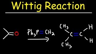 Wittig Reaction Mechanism [upl. by Alaekim985]