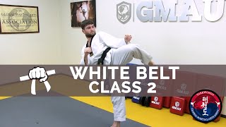 Taekwondo Follow Along Class  White Belt  Class 2 [upl. by Hernardo]