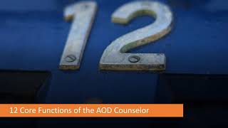 Addictions Counselor Core Skills Part I The 12 Core Functions [upl. by Yolane670]