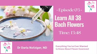 Learn All 38 Bach Flower Remedies Short Version [upl. by Htebasil]