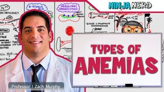 Hematology  Types of Anemias [upl. by Quartet]