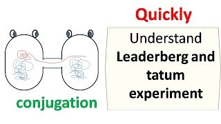 Lederberg and Tatum experiment [upl. by Akinor23]