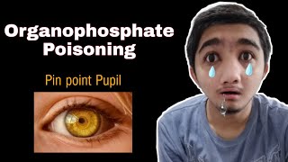 Organophosphate Poisoning  Organophosphate Poisoning Pharmacology Medico Darshil [upl. by Emor793]