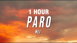 1 HORA NEJ  Paro Lyrics [upl. by Fredenburg696]